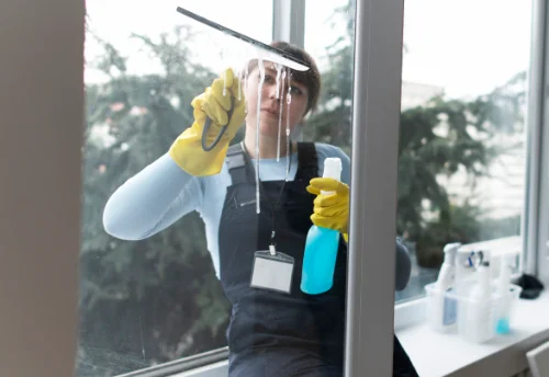 Nettoyage de vitres intérieures et extérieures à Bournand